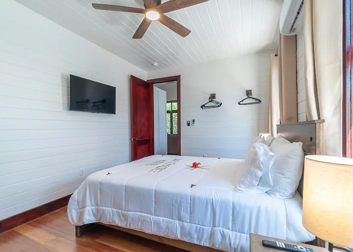 Backroads Sunset And Mistico Club Boat Shuttle Villa San Pedro (Ambergris Caye)
